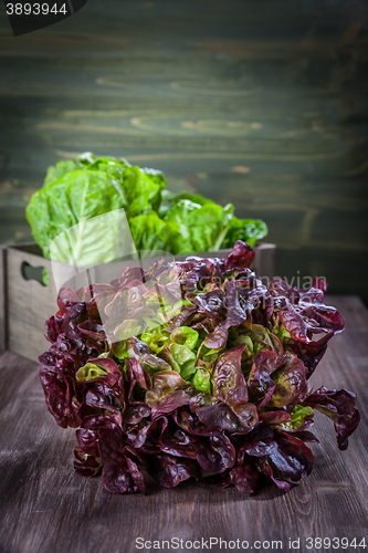 Image of Assorted lettuce on wooden table