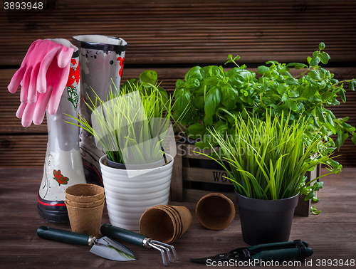 Image of Gardening