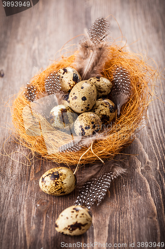 Image of Easter eggs with nest