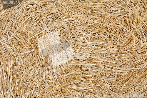 Image of Haystack closeup texture