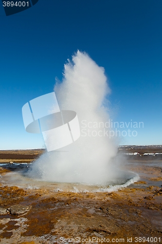 Image of Erupting geyser in Iceland