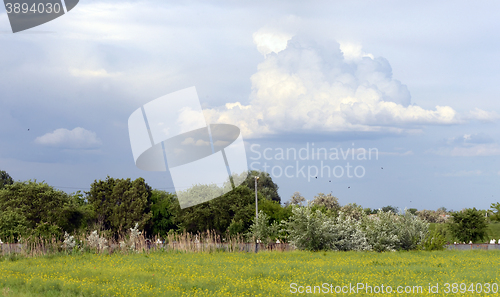 Image of Cloudy in spring time