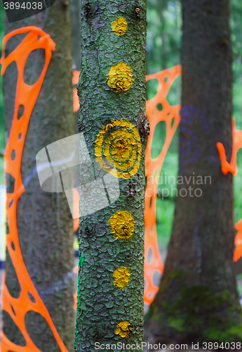 Image of Psychedelic patterns and decorations on the trees in forest