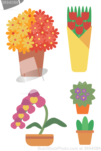 Image of Variety of colorful flowers.