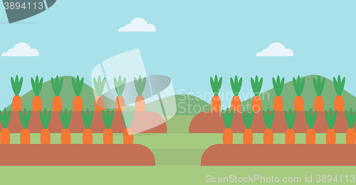 Image of Background of carrots growing on field 