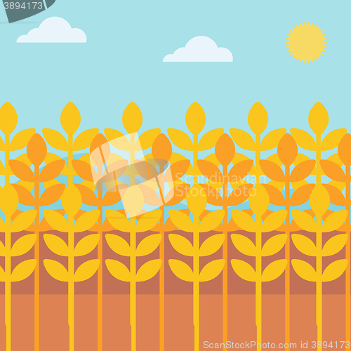 Image of Background of wheat field.