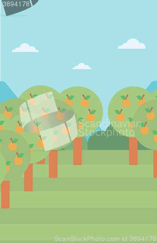 Image of Background of orange trees.