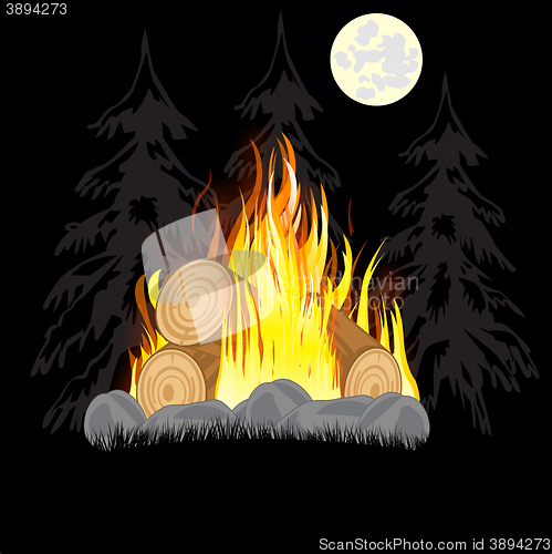 Image of Campfire in wood