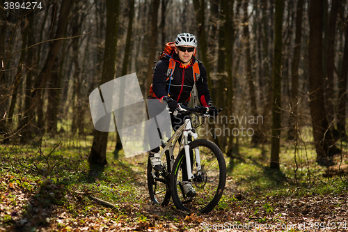 Image of Rider in action at Freestyle Mountain Bike Session