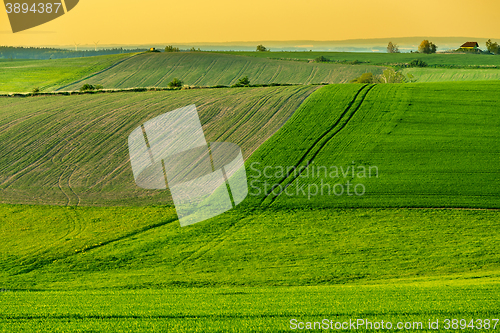 Image of Beautiful green sping rural landscape