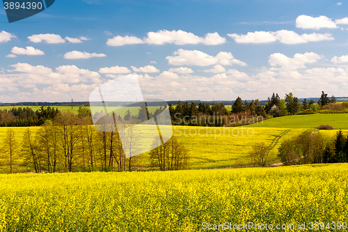 Image of Beautiful summer rural landscape