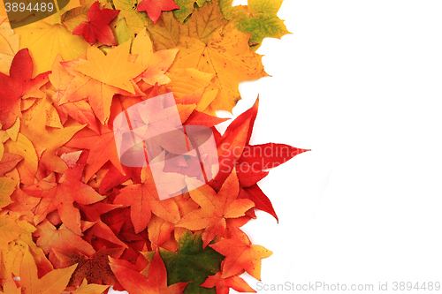 Image of autumn leaves background