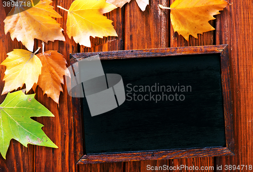 Image of autumn background