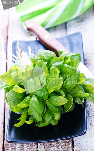 Image of fresh basil