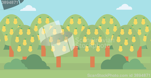 Image of Background of pear trees.