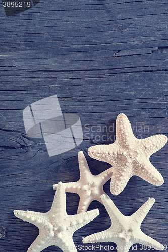 Image of starfish