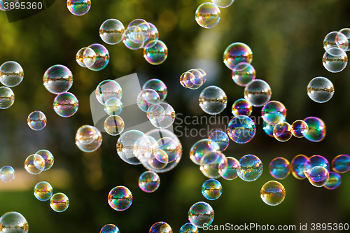 Image of Soap bubbles