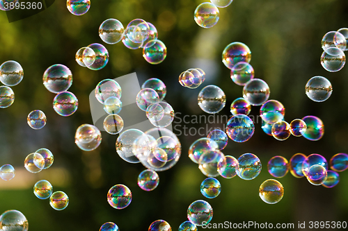 Image of Soap bubbles