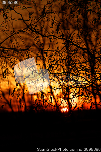 Image of Sunset background