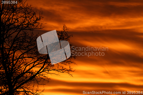 Image of Sunset background