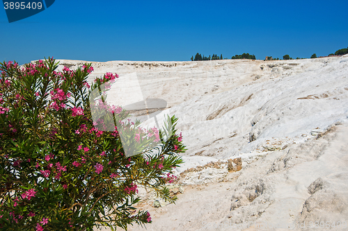 Image of Panoramic view of Pammukale