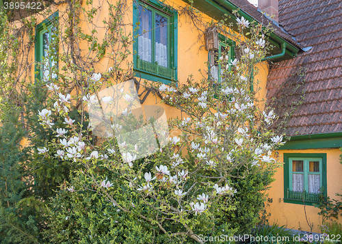 Image of idyllic house detail