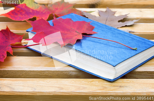 Image of Book and fallen leaves on a Park bench.