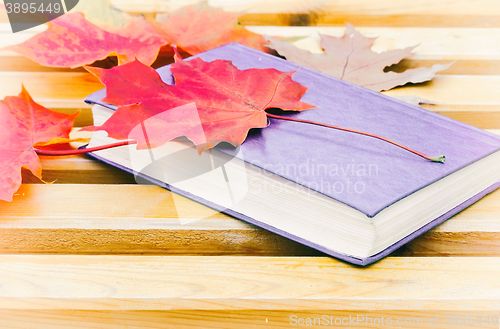Image of Book and fallen leaves on a Park bench.