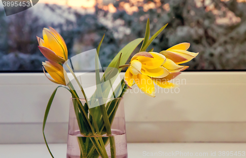 Image of Bouquet of yellow tulips on the windowsill.