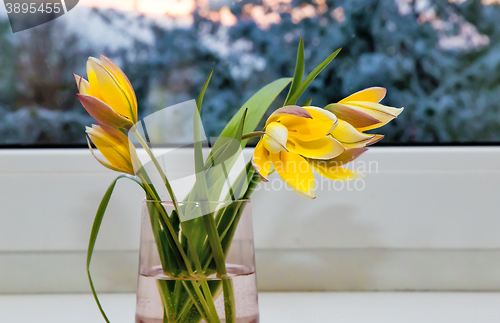Image of Bouquet of yellow tulips on the windowsill.