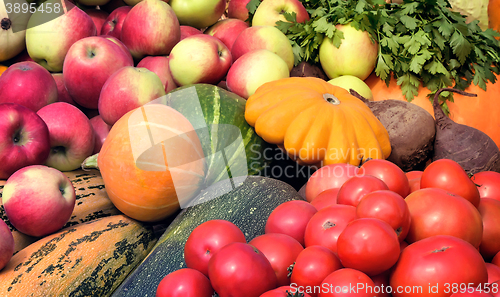 Image of Vegetable harvest is sold at the fair.