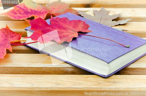 Image of Book and fallen leaves on a Park bench.