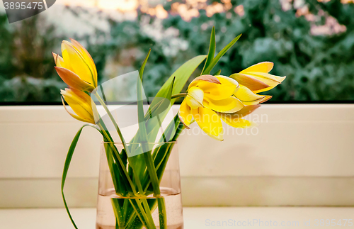 Image of Bouquet of yellow tulips on the windowsill.