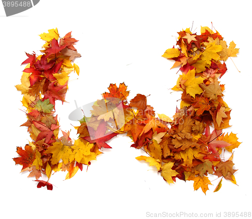 Image of alphabet sign from autumn leaf 