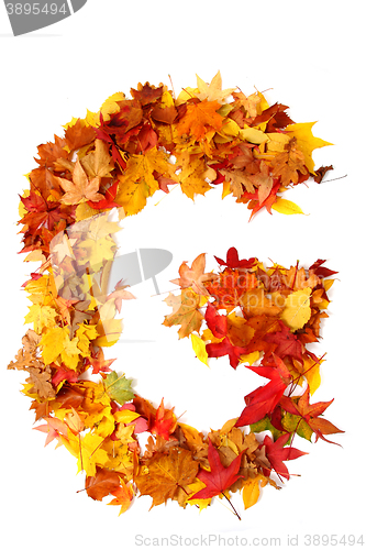 Image of alphabet sign from autumn leaf 