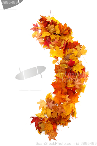 Image of alphabet sign from autumn leaf 