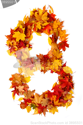 Image of alphabet sign from autumn leaf 