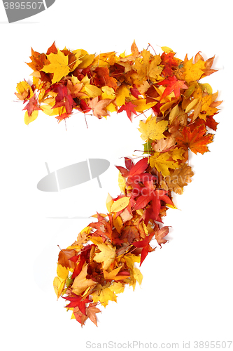 Image of alphabet sign from autumn leaf 