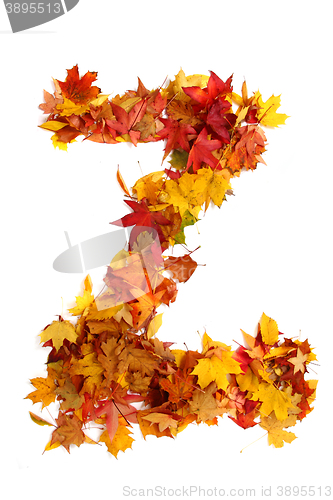 Image of alphabet sign from autumn leaf 