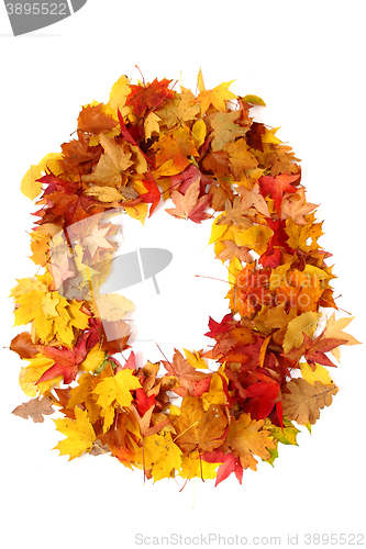 Image of alphabet sign from autumn leaf 