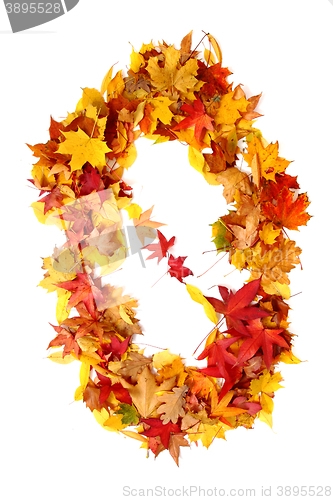 Image of alphabet sign from autumn leaf 