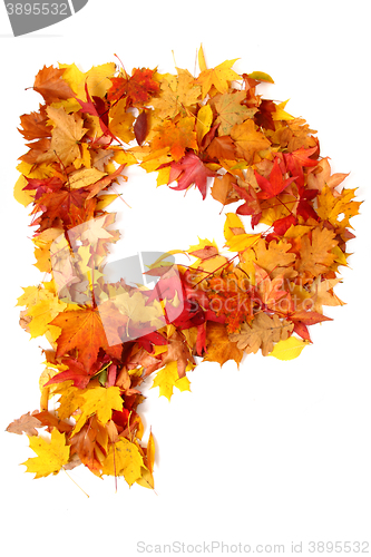 Image of alphabet sign from autumn leaf 