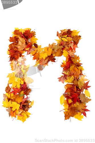 Image of alphabet sign from autumn leaf 