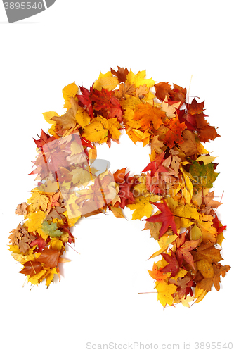 Image of alphabet sign from autumn leaf 