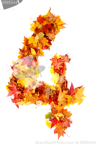 Image of alphabet sign from autumn leaf 
