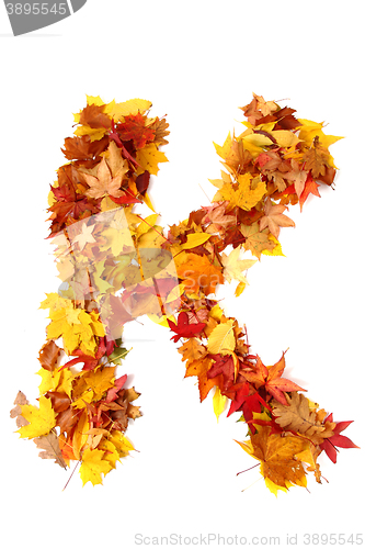 Image of alphabet sign from autumn leaf 