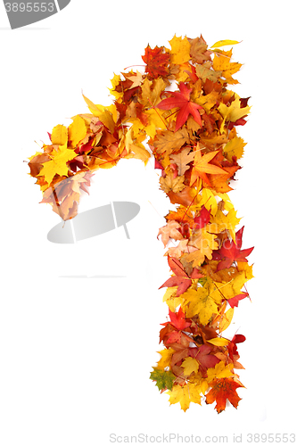 Image of alphabet sign from autumn leaf 