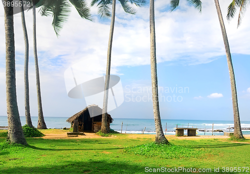 Image of Shack near ocean