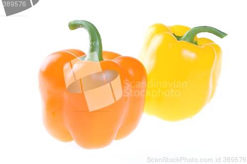 Image of Vegetables, Bulgarian Pepper