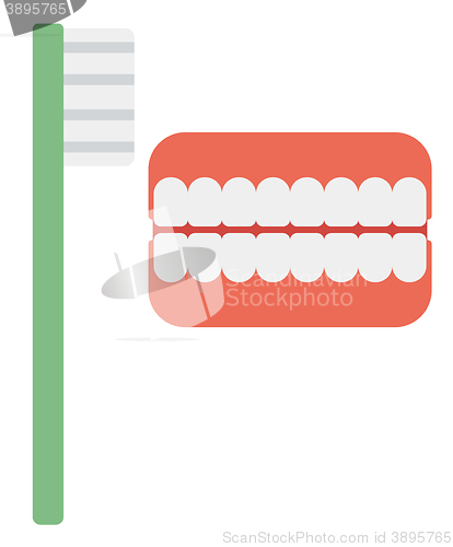 Image of Dental jaw model and toothbrush. 